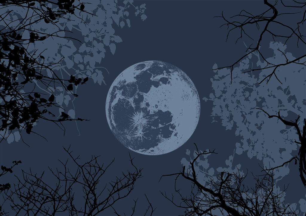 Moonlit Branches — full design