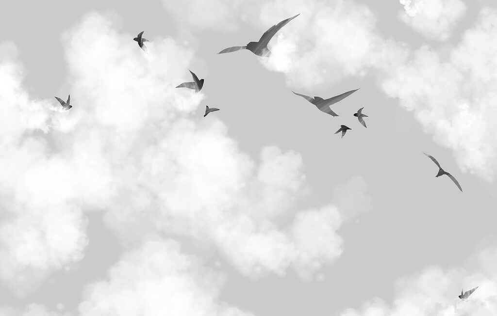 Birds among white clouds — full design