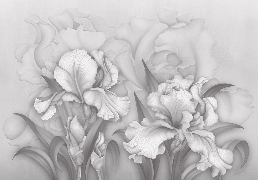 Iris in Graphite — full design