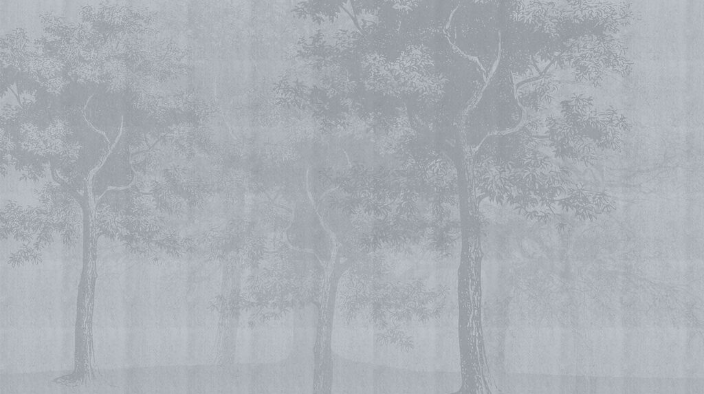 Trees Beyond the Mist — full design