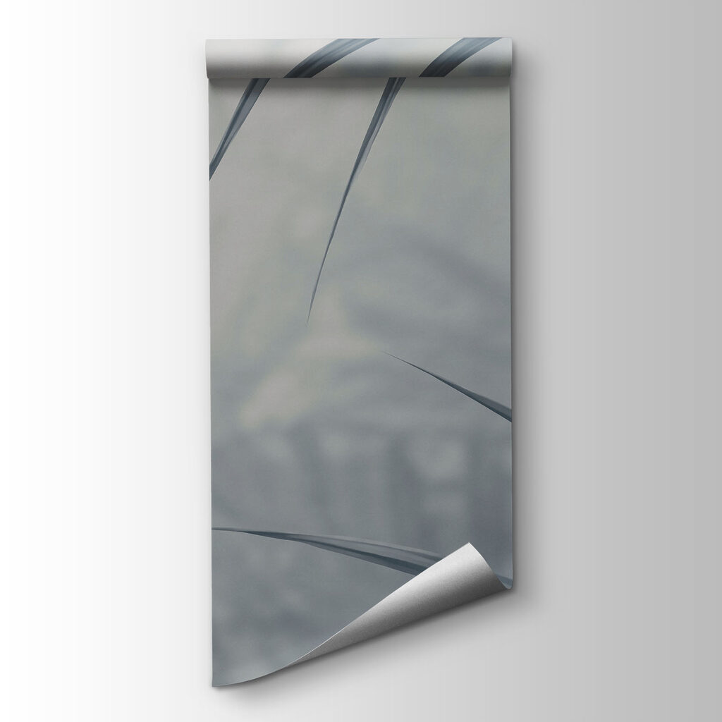 Palm Fronds in Shadow — product view