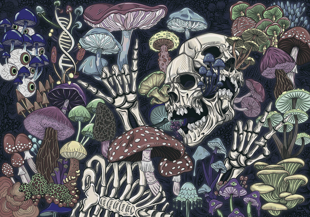 Mushroom Skull Garden — full design