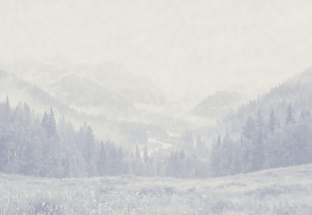 Pine Valley — full design