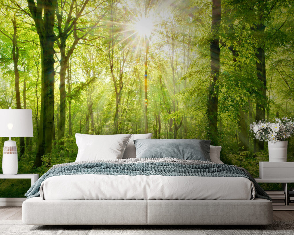 Sunlit Woodland Path — interior 2