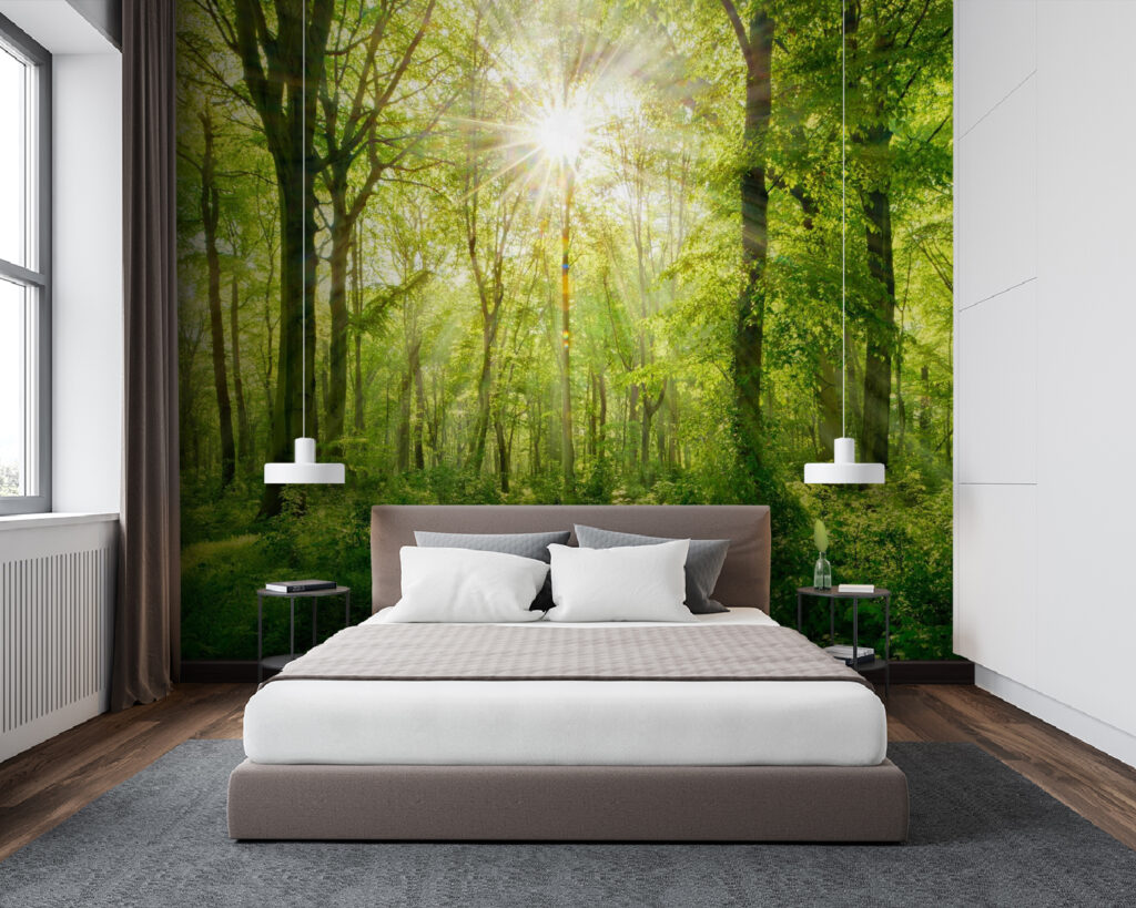 Sunlit Woodland Path in an interior