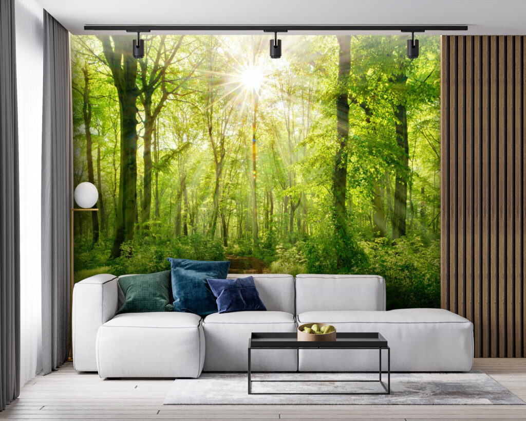Sunlit Woodland Path — interior 3