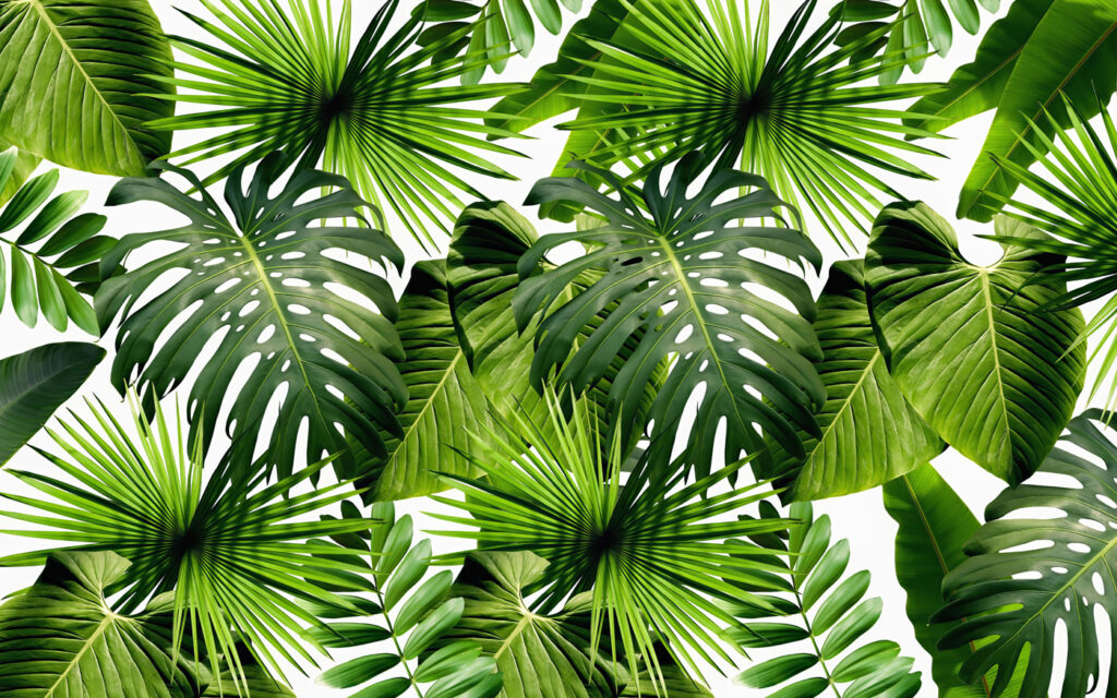 Palm Patchwork — full design