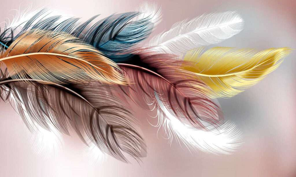 Feather Spectrum — full design