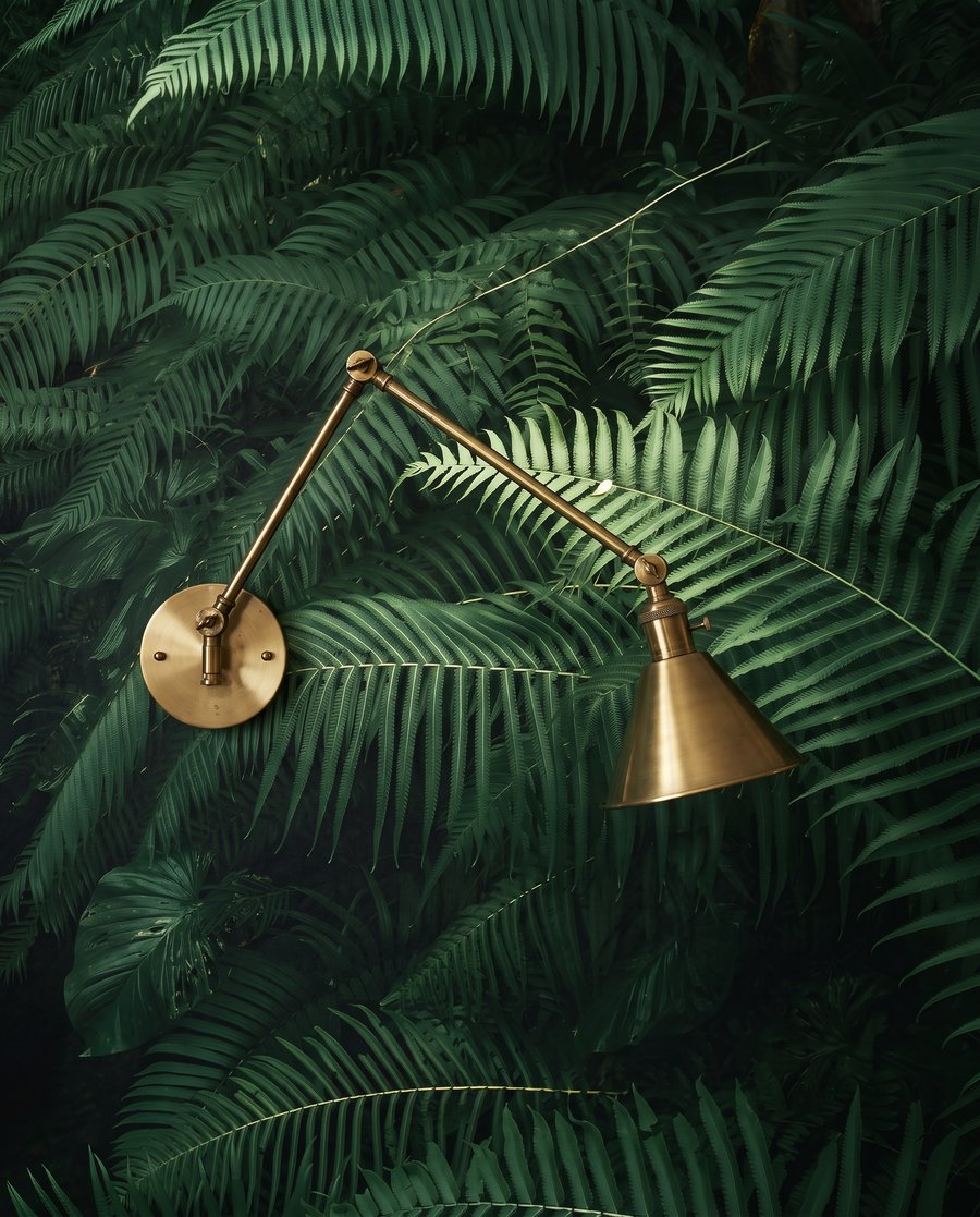 Rainforest Depths — detail