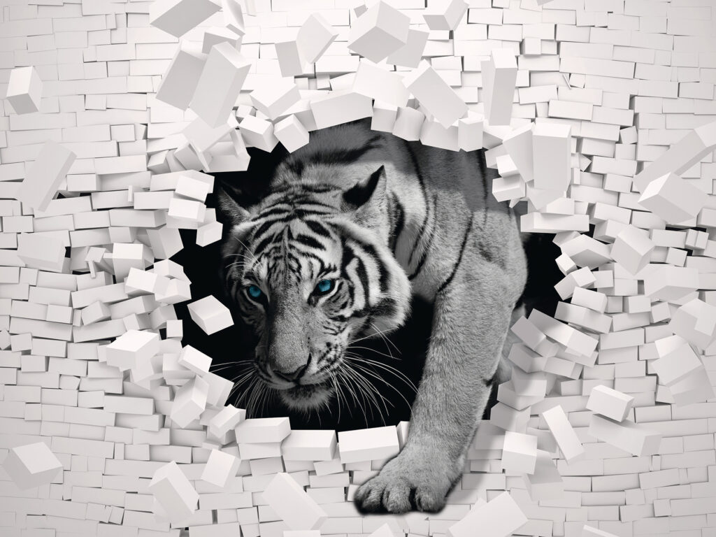 Tiger Through the Wall — full design