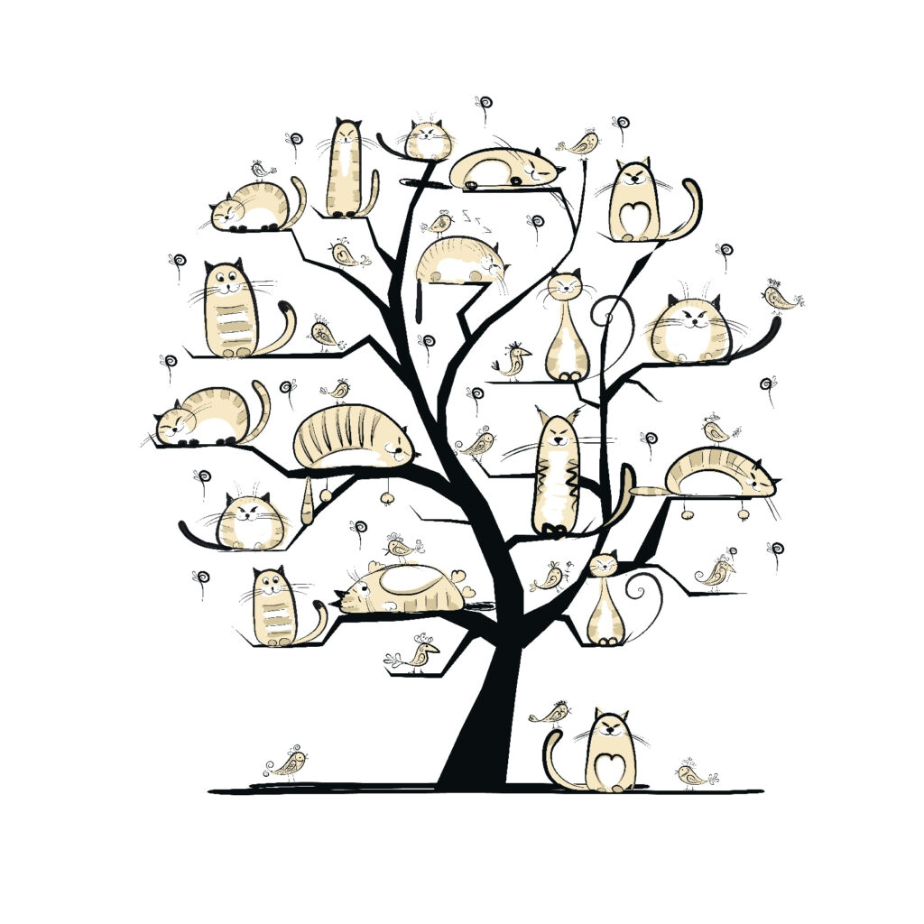 Cat Family Tree — full design