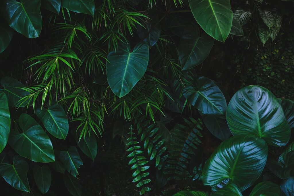 Leaves in deep green — full design
