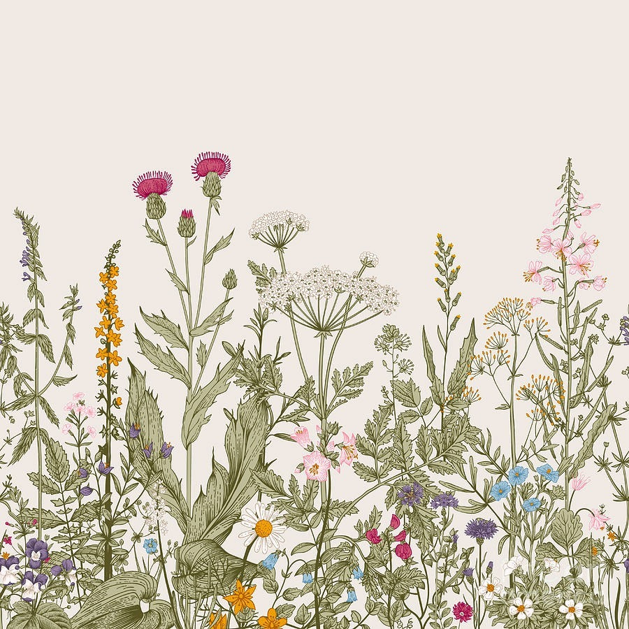 Wildflower Border — full design