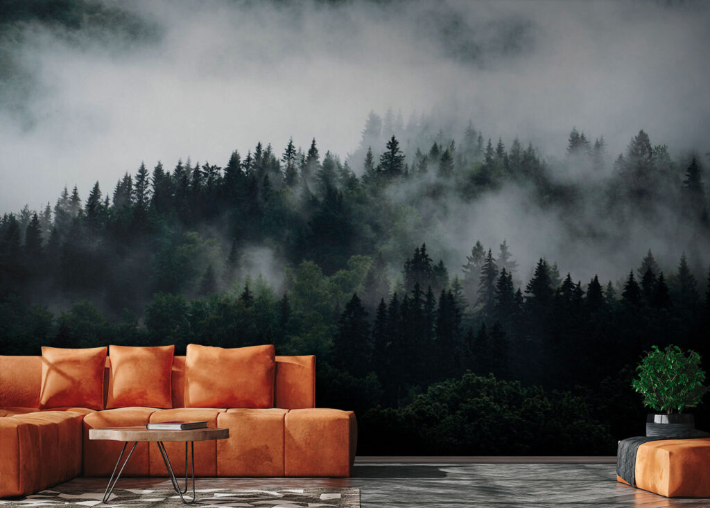 Forest Cloud — interior 2