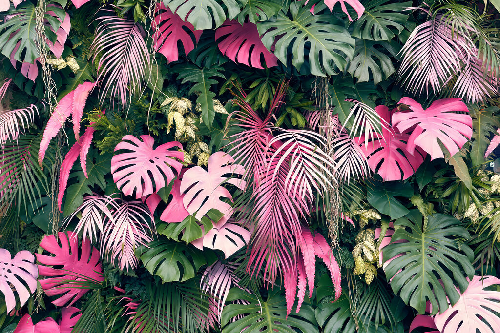 Tropical Colour — full design