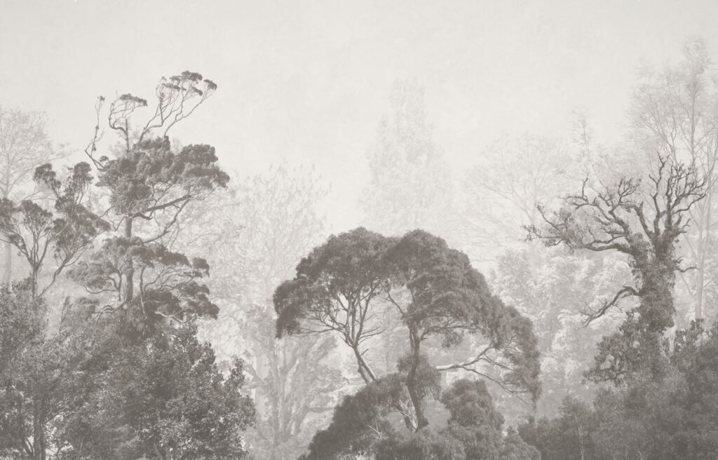 Treetop Mist — full design