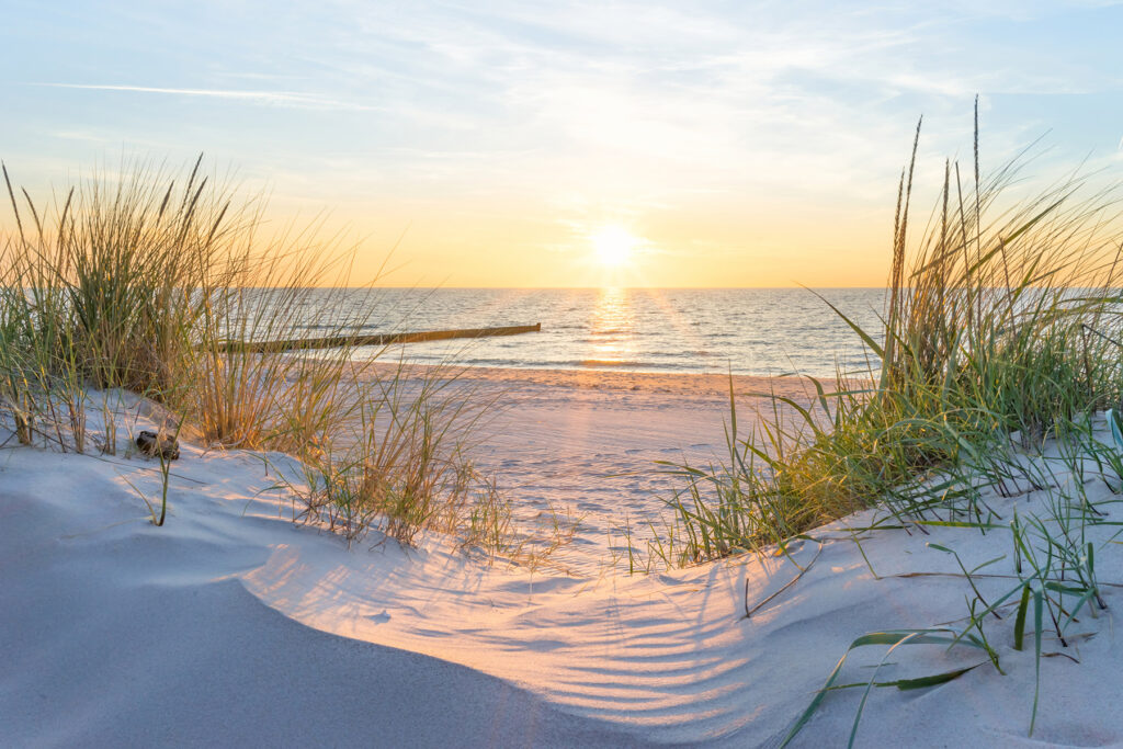 Dune Sunrise — full design