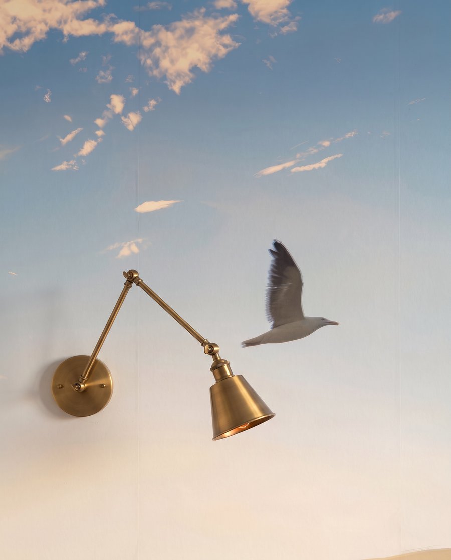 Shoreline Flight — detail