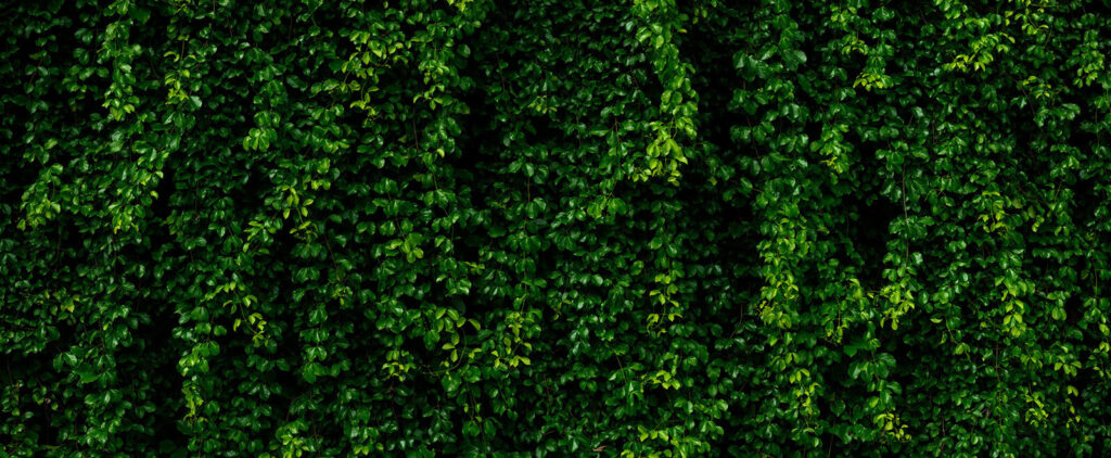 Living Leaf Wall — full design