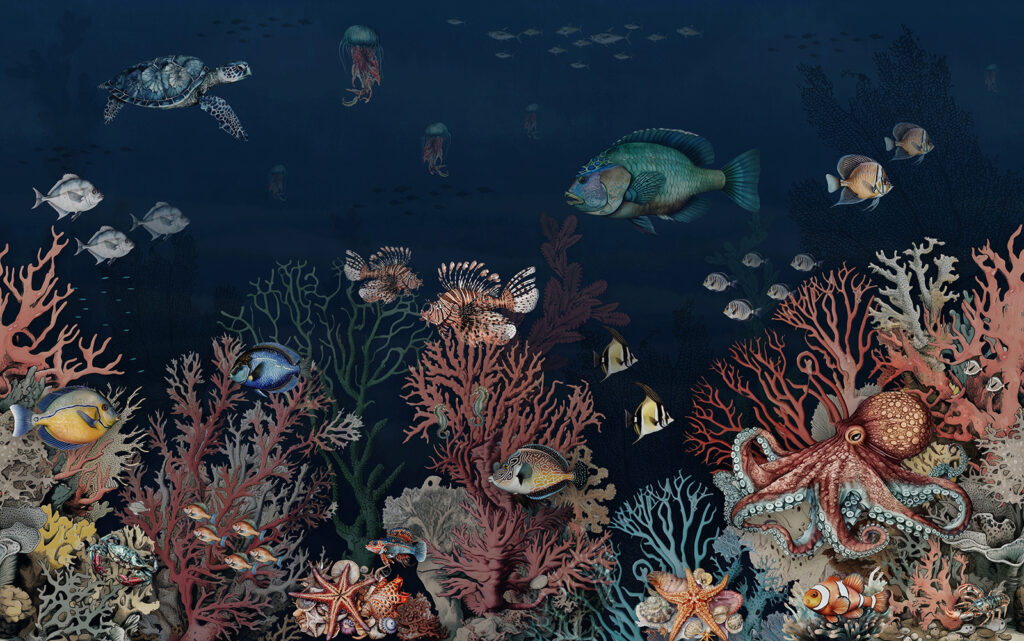 Coral Kingdom — full design