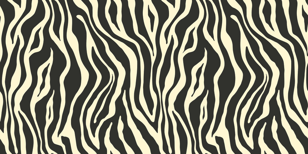Zebra Rhythm — full design
