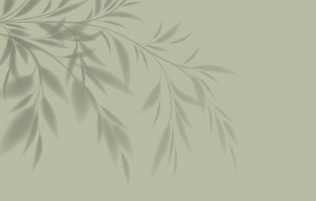 Bamboo Shadow — full design