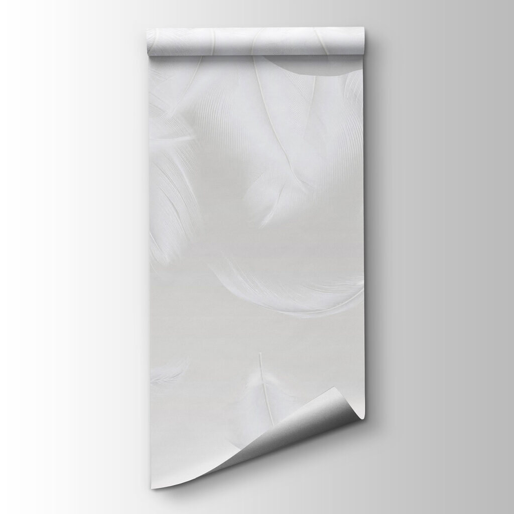 Feathers Falling Softly — product view