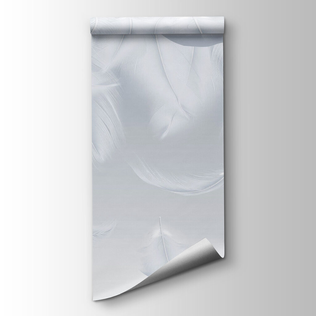 Feathers Falling Softly — product view