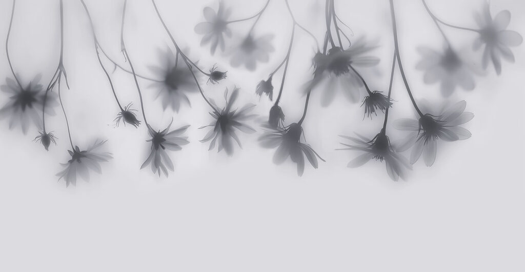 Flowers Hanging Gently — full design