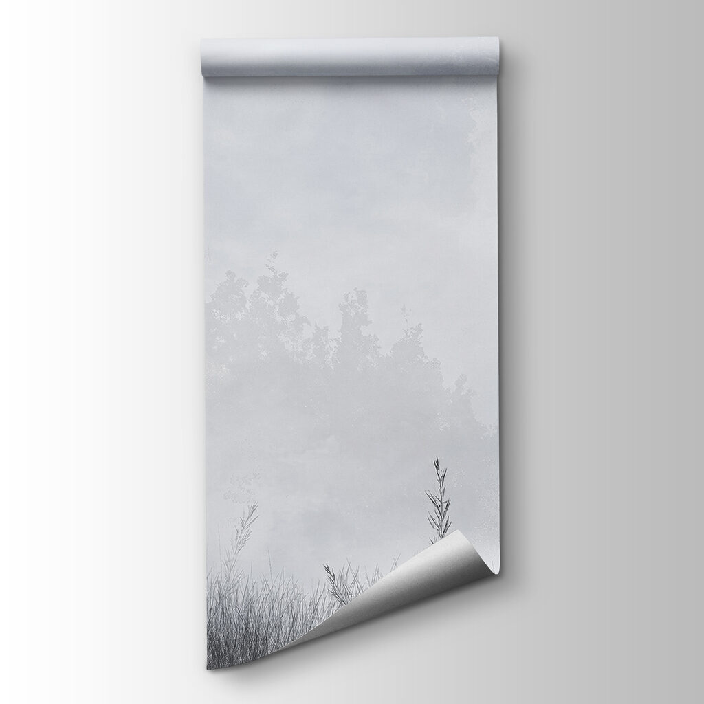 Trees in Morning Mist — product view