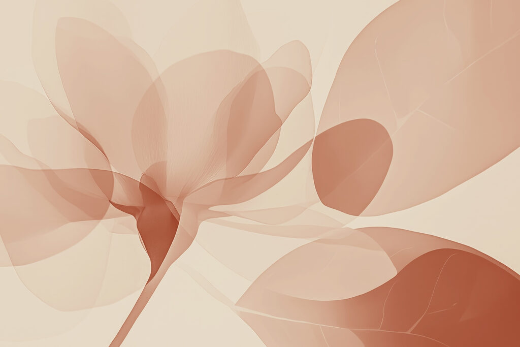 Petal and Curve — full design