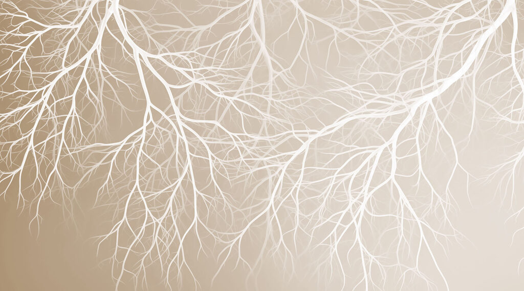 Bare Branch Canopy — full design