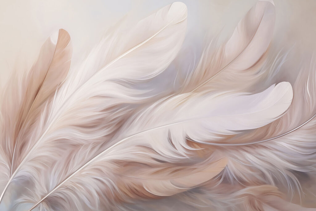 Feather Nest — full design