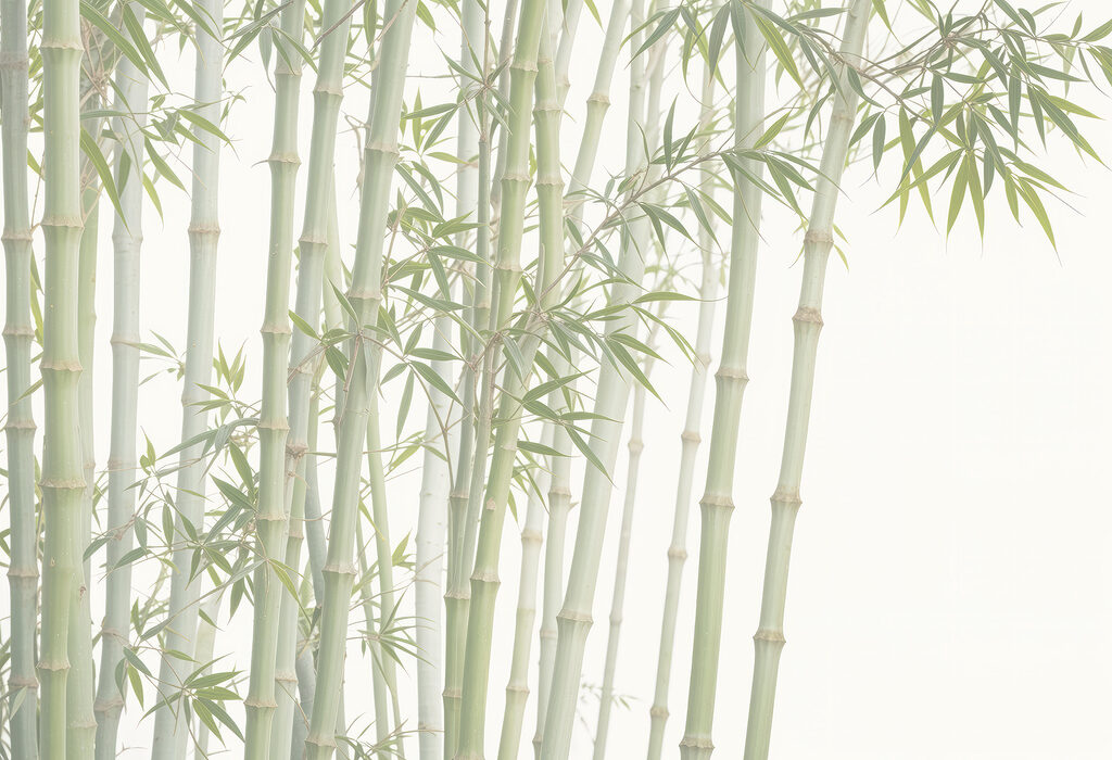 Bamboo Grove — full design
